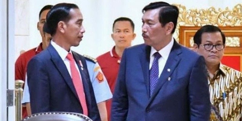 Luhut Lapor Jokowi : Ada Perusahaan Sawit Kuasai 500 HA