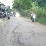 Pelantikan dan Pengangkatan Advokat