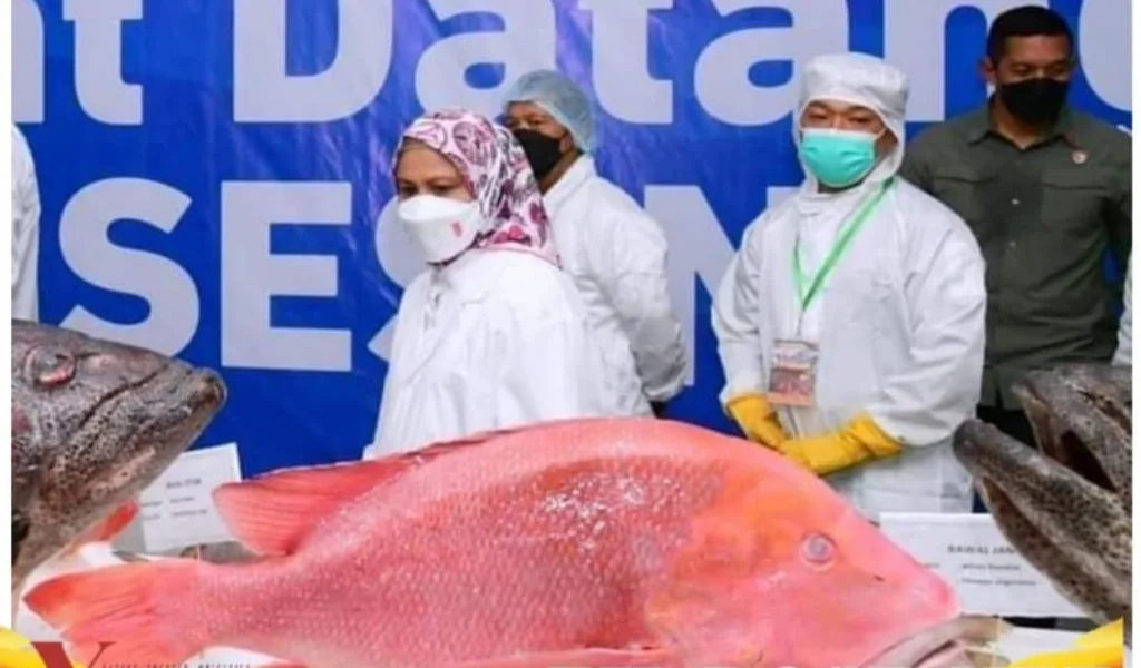 Budidaya Rumput Laut dan Ikan