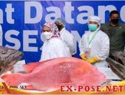 Presiden RI Jokowi Tinjau Unit Pengolahan Budidaya Rumput Laut dan Ikan di Provinsi Maluku