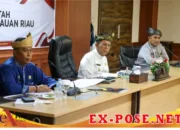 Capaian Realisasi APBD
