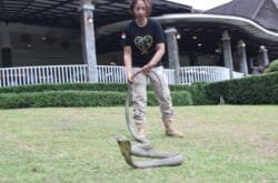 Diduga Terlantarkan Satwa, Shinta Gandeng Nuswantara Justice Law Firm untuk Laporkan Managemen Mini Zoo di Pamoyanan