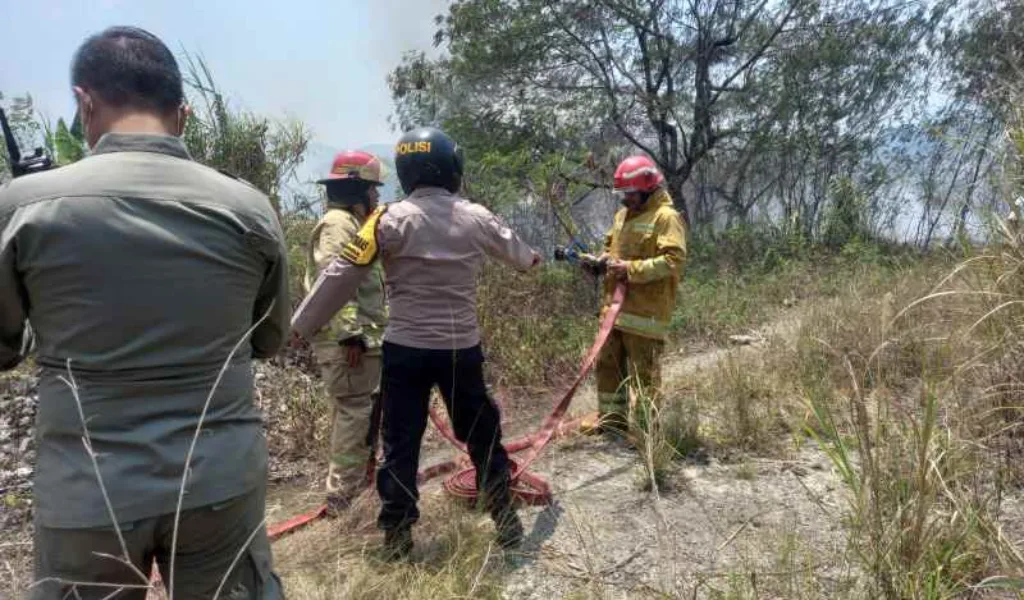 Api Bakar Lahan Kosong di Sentul Bogor