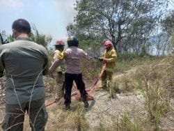 Api Bakar Lahan Kosong di Sentul Bogor