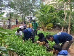 Sudin KPKP Kepulauan Seribu Panen, Warga Pulau Tidung Ucapkan Terima Kasih