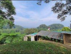 Hanjuang Hills Camp Pesona Alam Untuk Healing dan Outbond