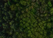 Banjir Jakarta, Depok, dan Bekasi Kiriman dari Bogor ?