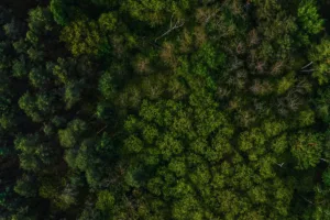 Banjir Jakarta, Depok, dan Bekasi Kiriman dari Bogor ?