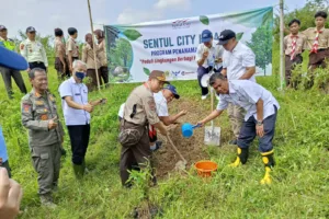 Sentul City Tanam 1.000 Pohon di Babakan Madang, Wujud Nyata Kepedulian Lingkungan