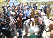 Perkuat Ketahanan Pangan Nasional, Panen Raya Serentak di 14 Provinsi
