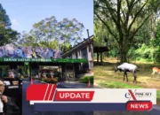 Taman Safari Jalur Hukum