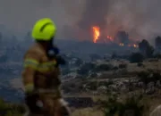 Israel Minta Bantuan Internasional Atasi Kebakaran Hutan