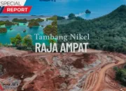 KLH Berikan Izin Khusus, 13 Perusahaan Hak Istimewa Tambang di Raja Ampat