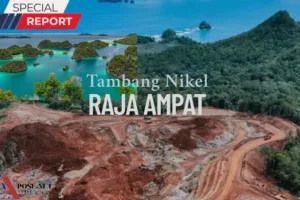 KLH Berikan Izin Khusus, 13 Perusahaan Hak Istimewa Tambang di Raja Ampat