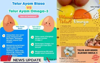 Telur Ayam Omega-3, Sumber Gizi Lengkap untuk Keluarga Indonesia