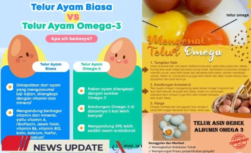 Telur Ayam Omega-3, Sumber Gizi Lengkap untuk Keluarga Indonesia