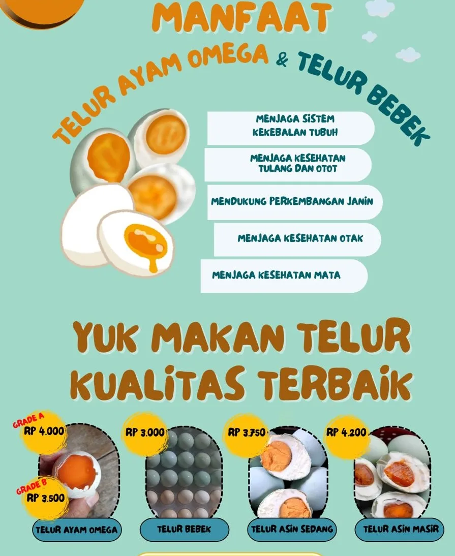 Telur Ayam Omega3 Sumber