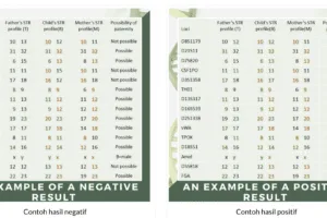 Hasil Test DNA