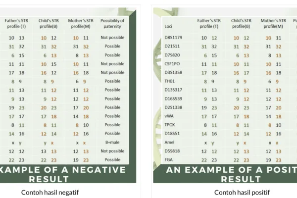 Hasil Test DNA