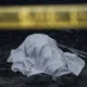 Polisi Tangkap Komplotan Penculik Kepala Cabang BRI Cempaka Putih