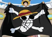 Makna Bendera One Piece Ramai Dikibarkan